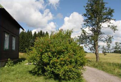 Chalupa u Valášků