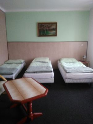 Restaurace U Zlatého Jelena