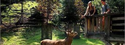 Ubytování Na vejminku v Podkrkonoší