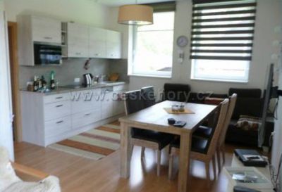 Apartmán U sjezdovky Velké Karlovice