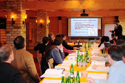 Horský Hotel Vidly ****