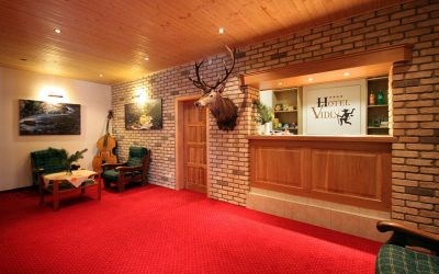 Horský Hotel Vidly ****