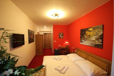 Horský Hotel Vidly ****