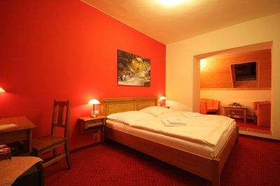 Horský Hotel Vidly ****