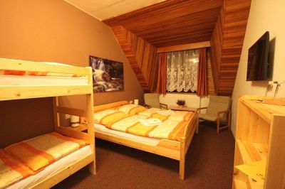 Horský Hotel Vidly ****