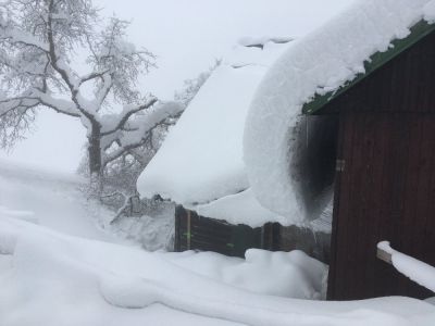 Horská chata Viktorka