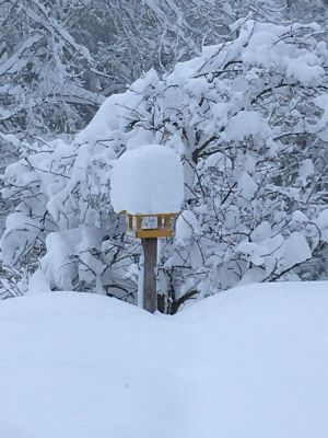 Horská chata Viktorka