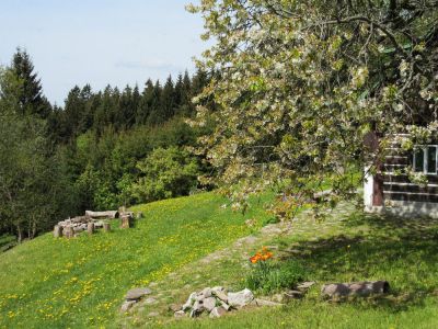 Horská chata Viktorka