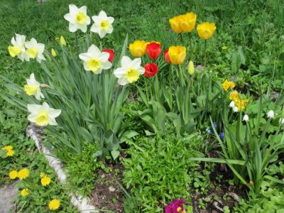 Horská chata Viktorka