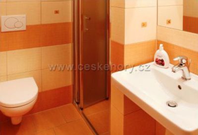 Apartmány Vila Hedvika*** Rožnov pod Radhoštěm