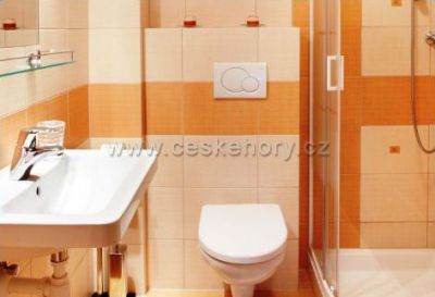 Apartmány Vila Hedvika*** Rožnov pod Radhoštěm