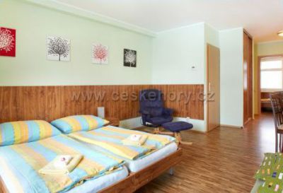 Apartmány Vila Hedvika*** Rožnov pod Radhoštěm