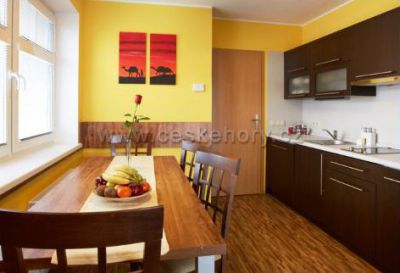 Apartmány Vila Hedvika*** Rožnov pod Radhoštěm
