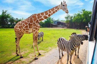 Vila Hořičky - Ratibořice