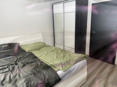 Vila Tanvald s wellness a wallboxem