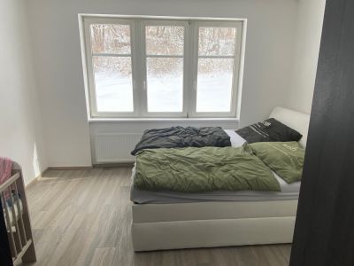 Vila Tanvald s wellness a wallboxem