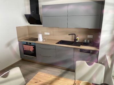 Vila Tanvald s wellness a wallboxem