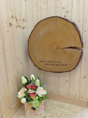 Rodinné ubytování Vilvin Kašperské Hory