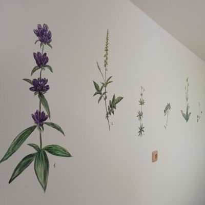 Rodinné ubytování Vilvin Kašperské Hory