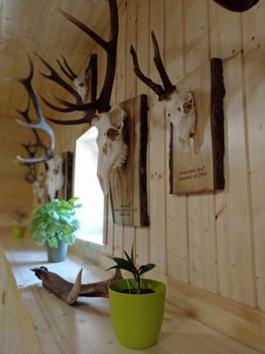 Rodinné ubytování Vilvin Kašperské Hory