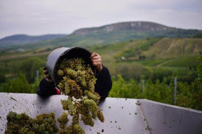 Pension U Obecní Šatlavy