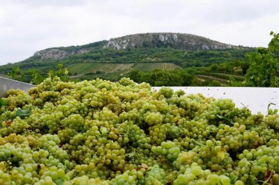 Pension U Obecní Šatlavy