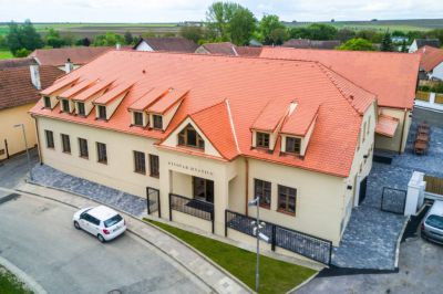 Penziony Vinice Hnanice