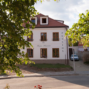 Penziony Vinice Hnanice