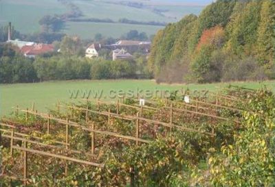Vinařské a kulturní centrum Sádek
