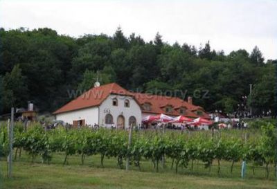 Vinařské a kulturní centrum Sádek