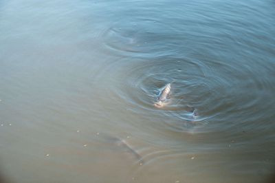 Vodní domky Rudíkov