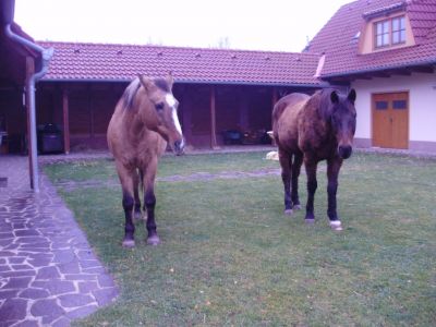 Farma u Vojtků v Křižánkách