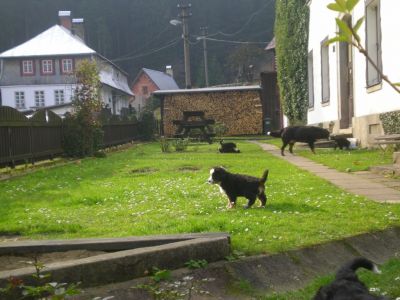 Ubytování V údolí