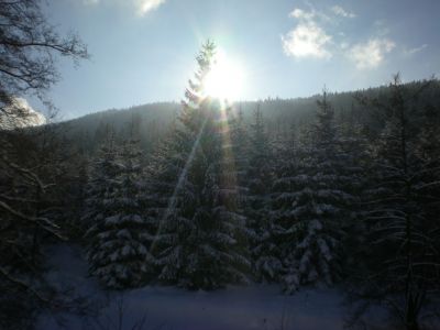 Ubytování V údolí