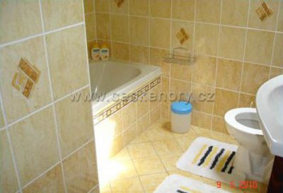 Rekreační chalupa na samotě u lesa