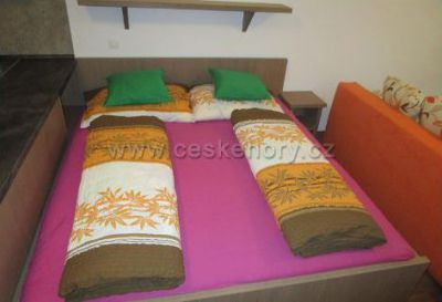 Apartmán Říčky v Orlických horách