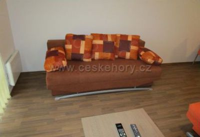 Apartmán Říčky v Orlických horách