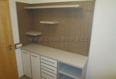 Apartmán Říčky v Orlických horách