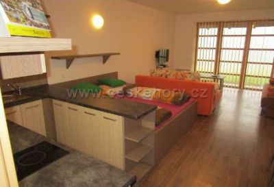 Apartmán Říčky v Orlických horách