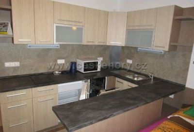 Apartmán Říčky v Orlických horách