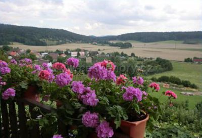 Ubytování Prachovské skály - Blata