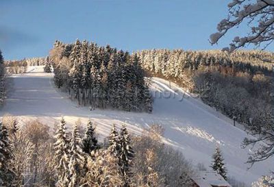 Pension Zelený Mlýn ***