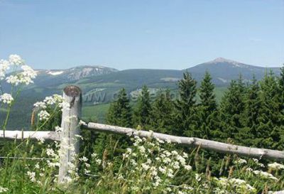 Pension Zelený Mlýn ***