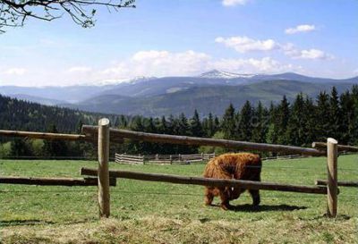 Pension Zelený Mlýn ***