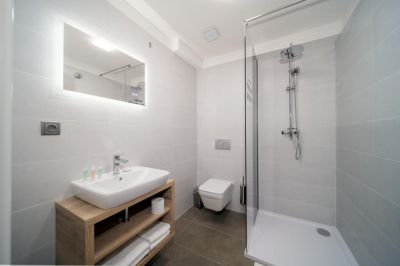 Hotel Zelený potok ****