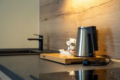 Hotel Zelený potok ****