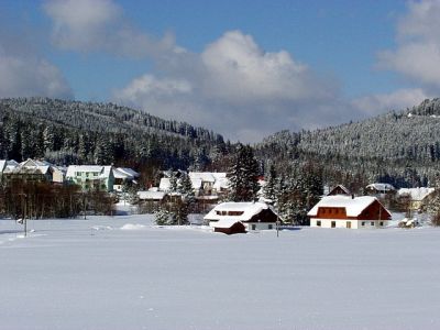 Zlatá Lada