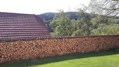 Penzion Zvonice Hojná Voda