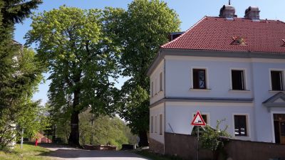 Penzion Zvonice Hojná Voda