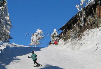 Ski Hohenbogen